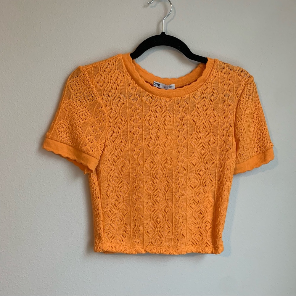 zara knit crop top